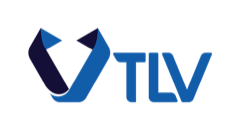 Trí Lực Việt